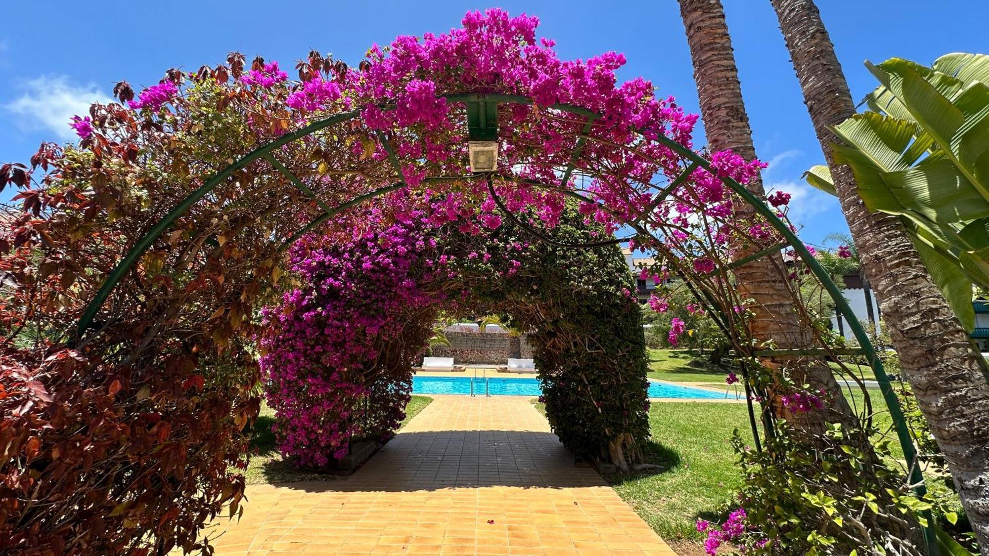 El Tajinaste III Daire Puerto de la Cruz  Dış mekan fotoğraf